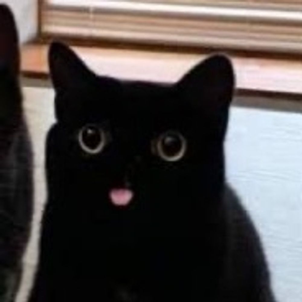 nammy