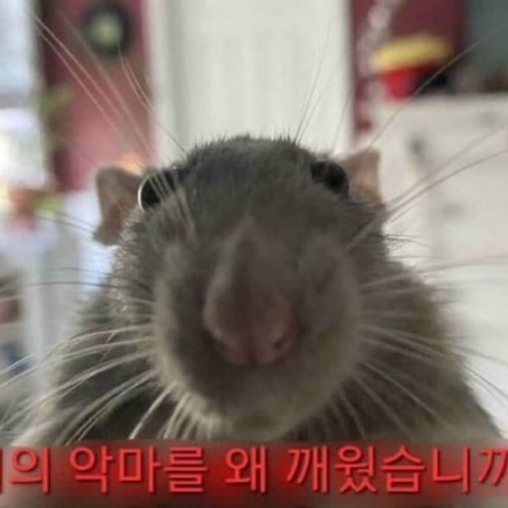 Ratdevil🔞