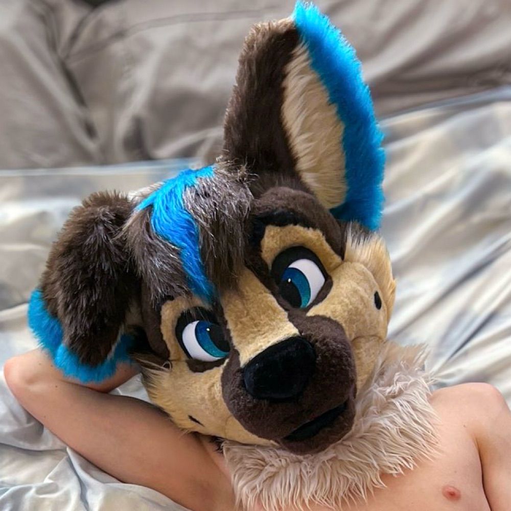ShepAfterDark