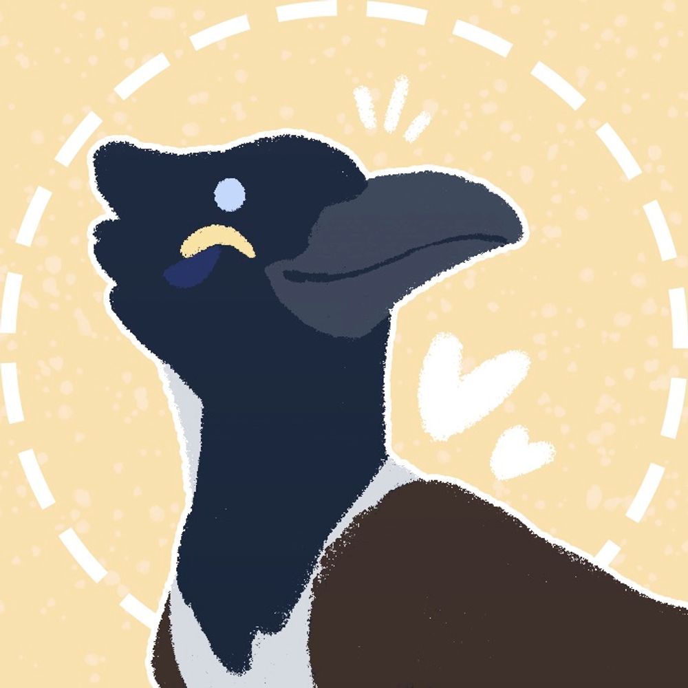 indi (they/them)