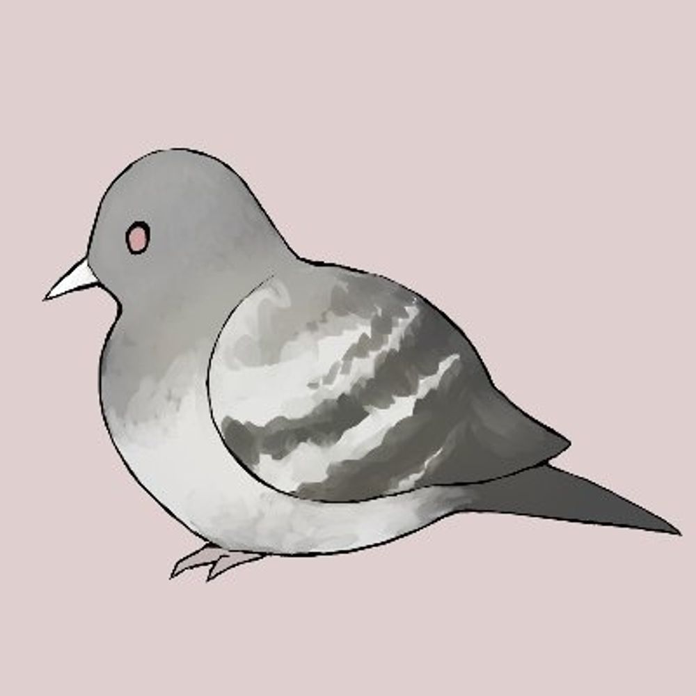 鳩豆
