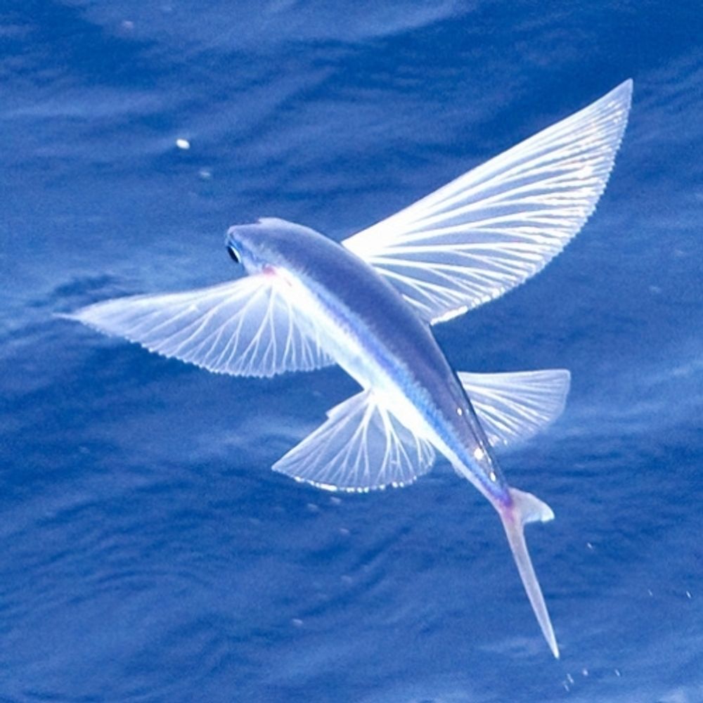 T.OKANO