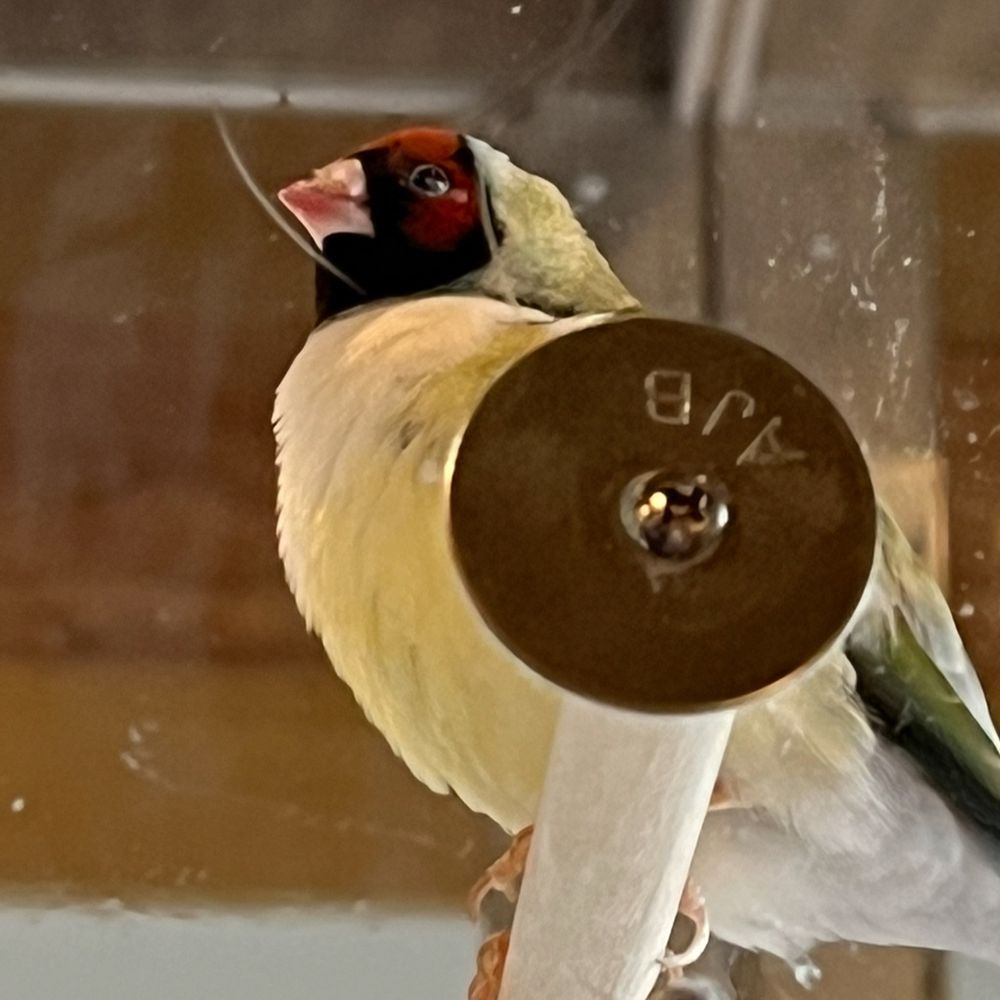 G̷ig̷i ⊬ 69…