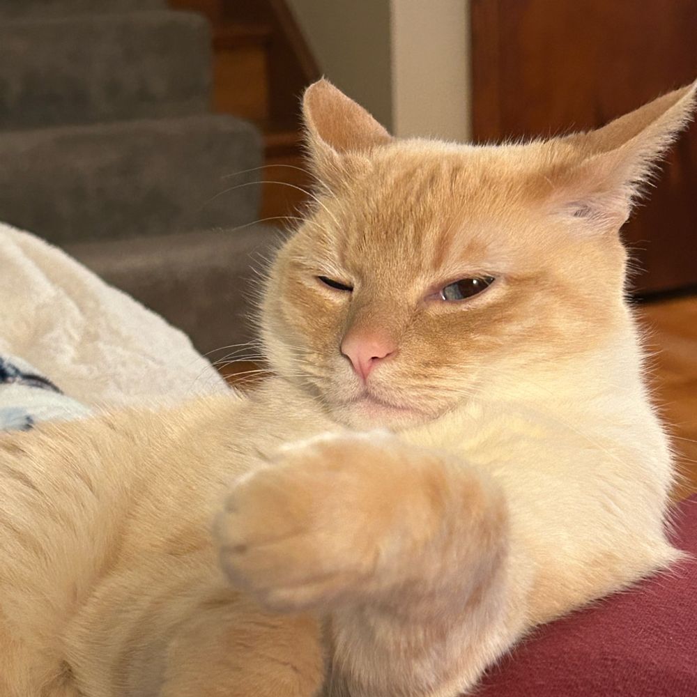 Snow Plow and Smokey