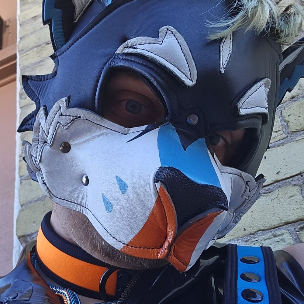 Pup Sparten / Sabre