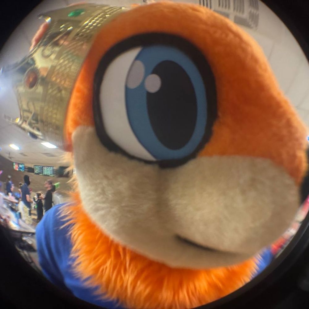 Lex/Conker