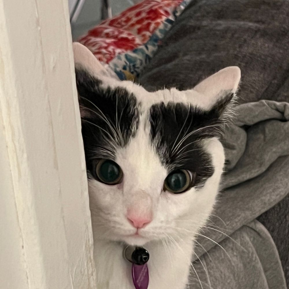 sock