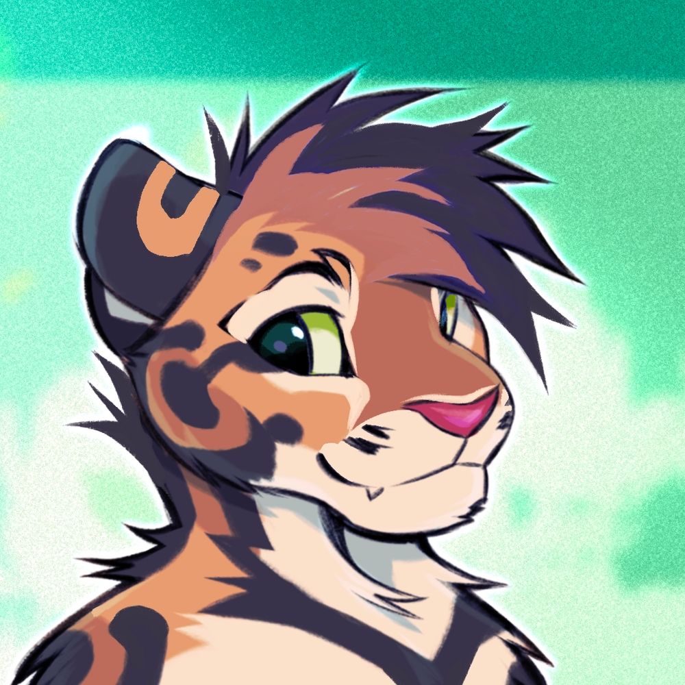 karb-derg.eu profile picture