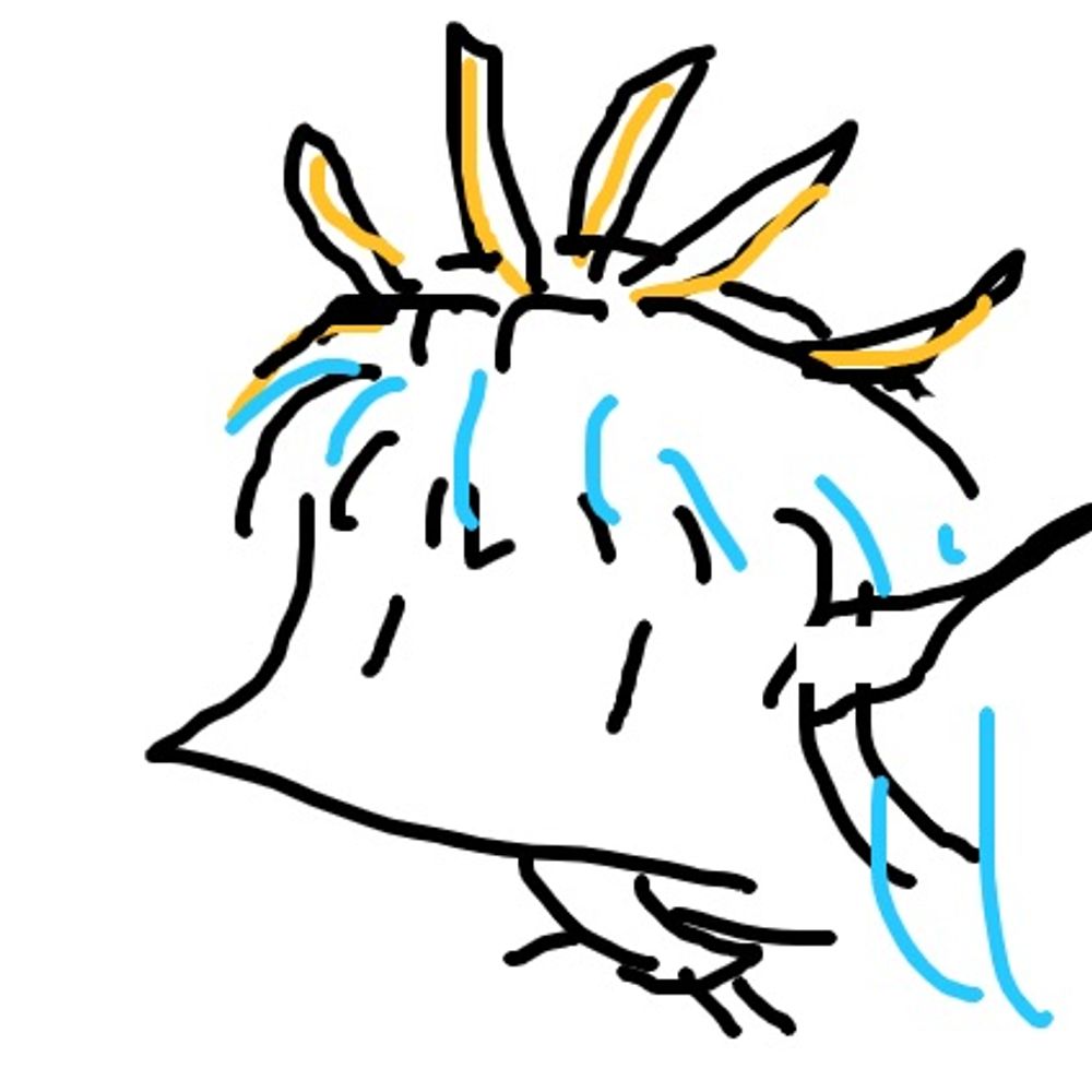 ゆきんこ