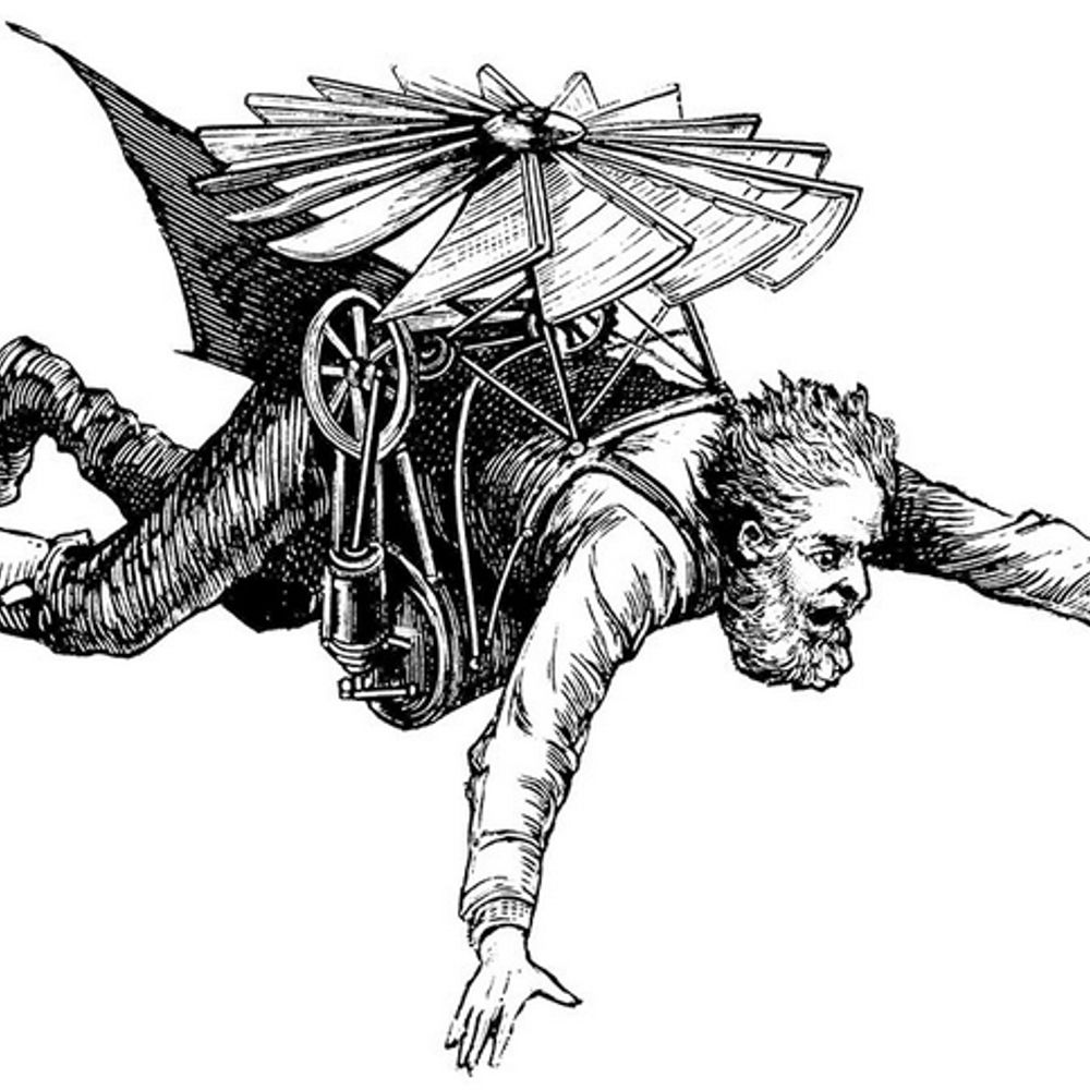Without Feathers