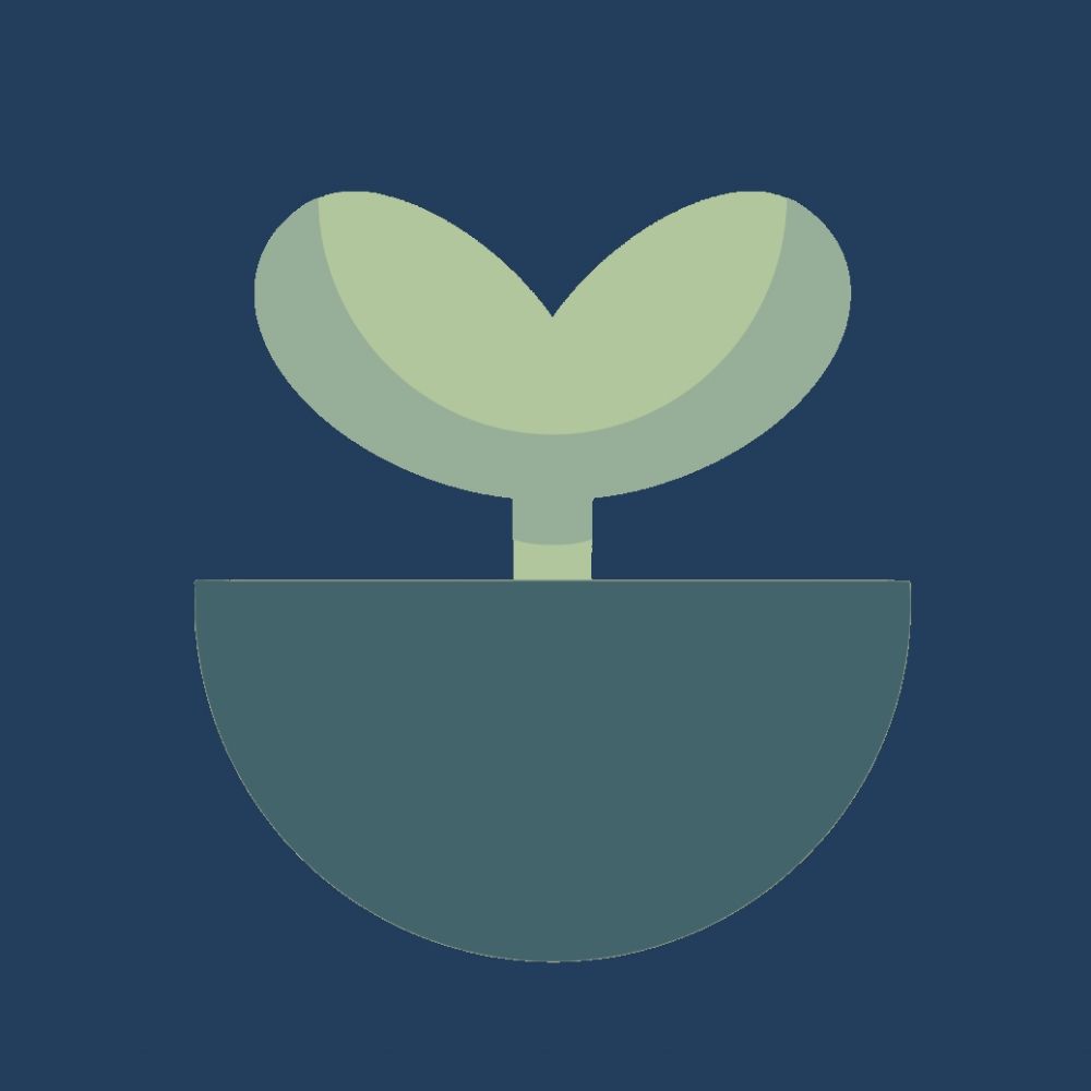 Paper Sprout