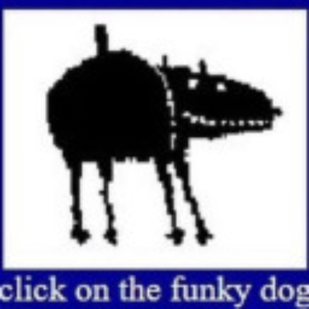 Klop