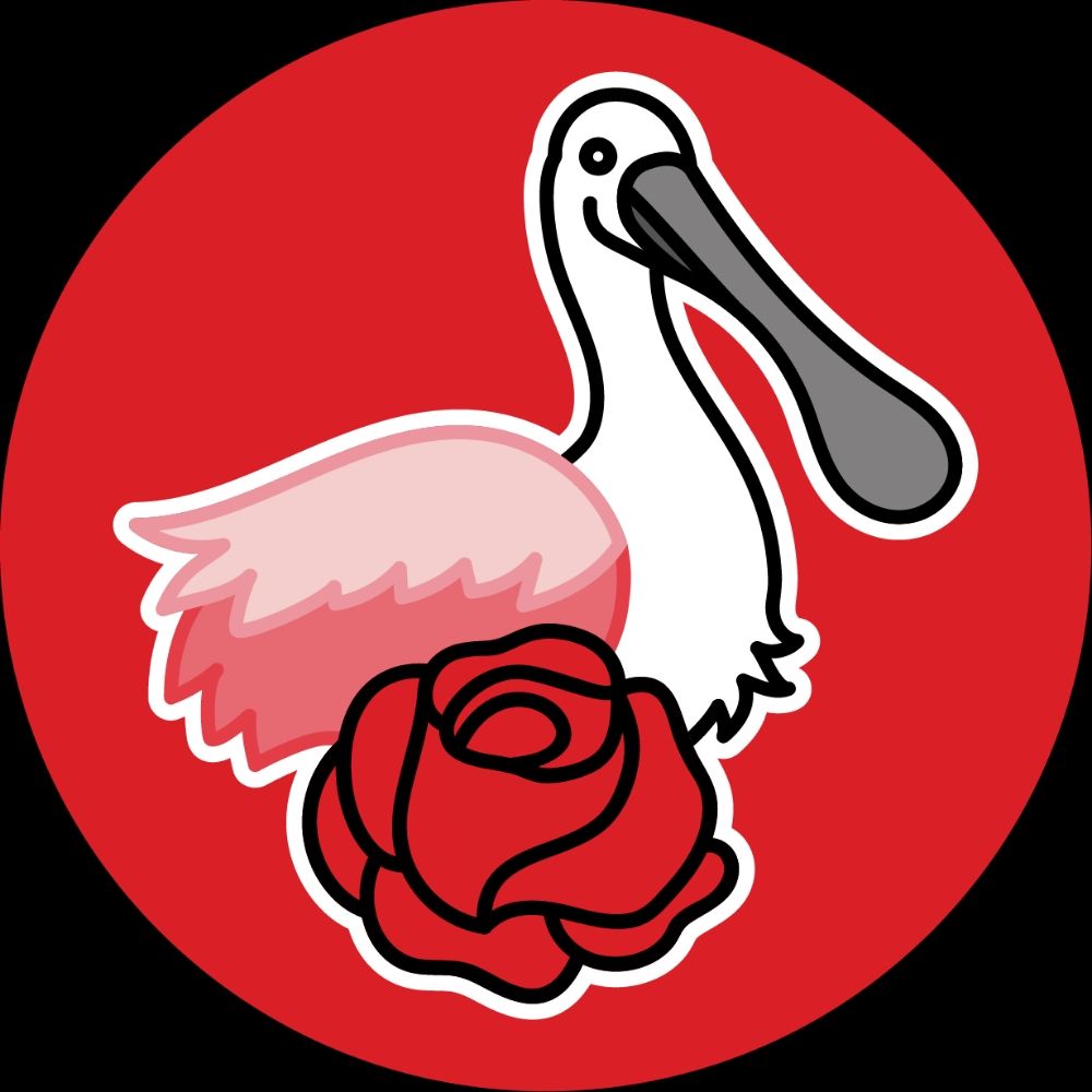 Pinellas DSA