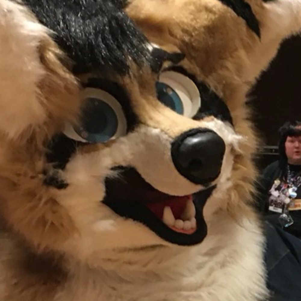 Tom Fox