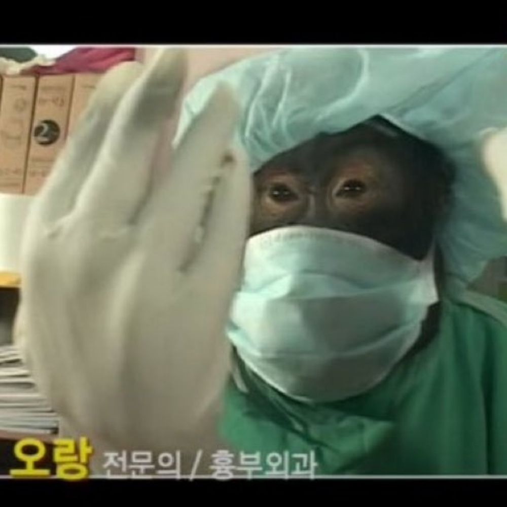 육