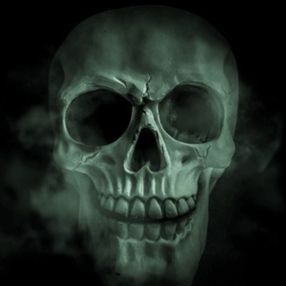 rottenmind