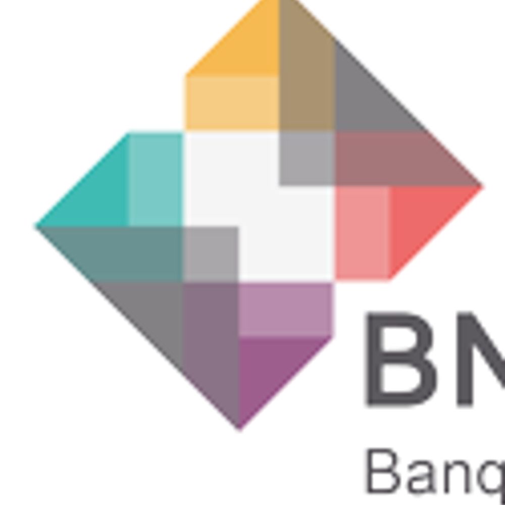 Banque Nationale de Données Maladies Rares