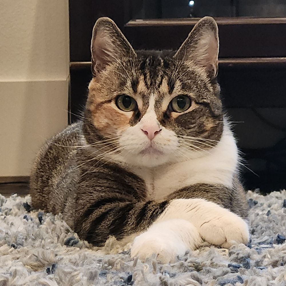 The Mighty Huntress