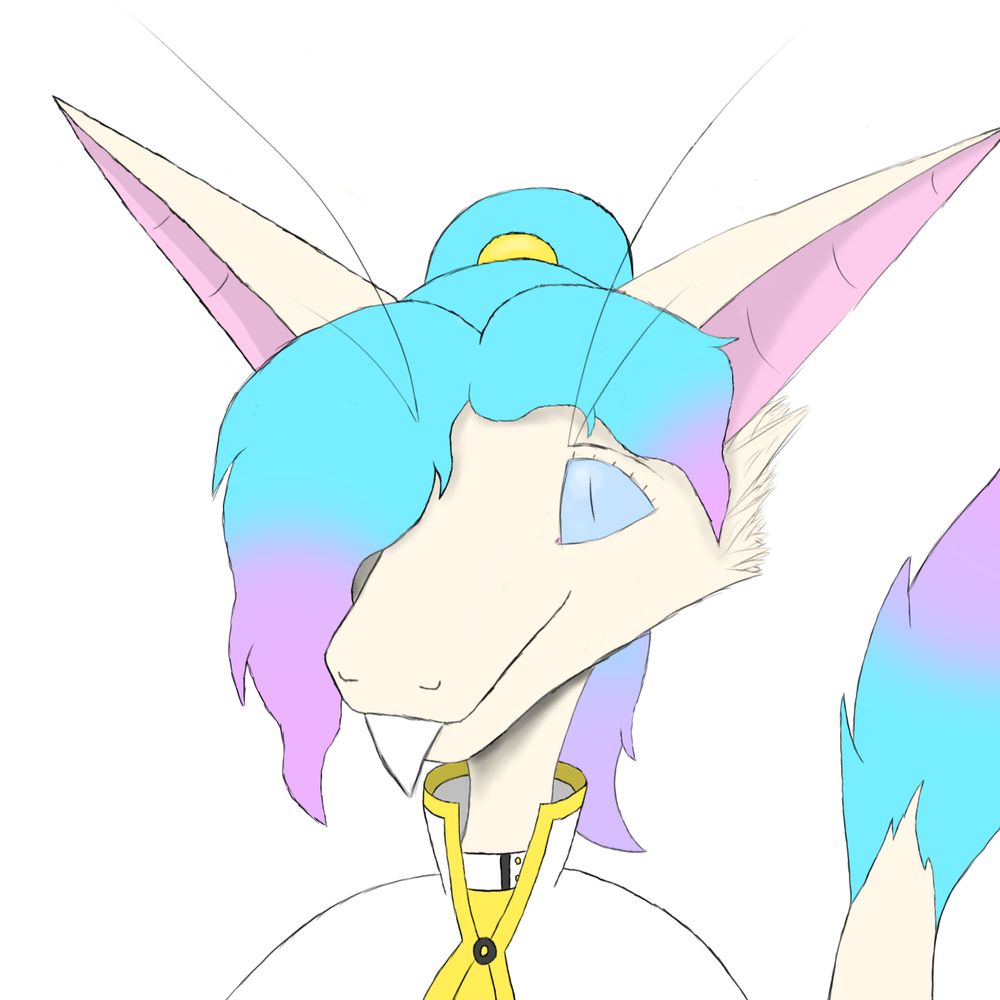 Hirsuta