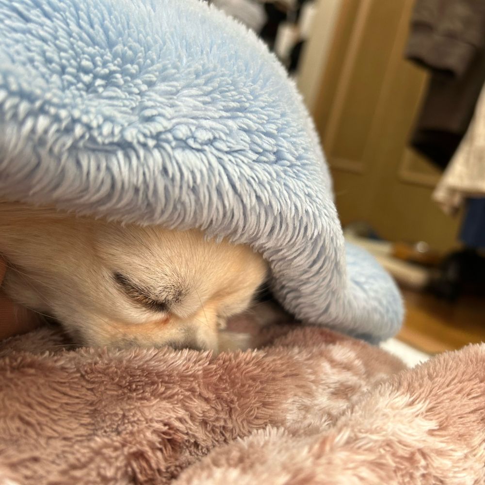 たくてあ
