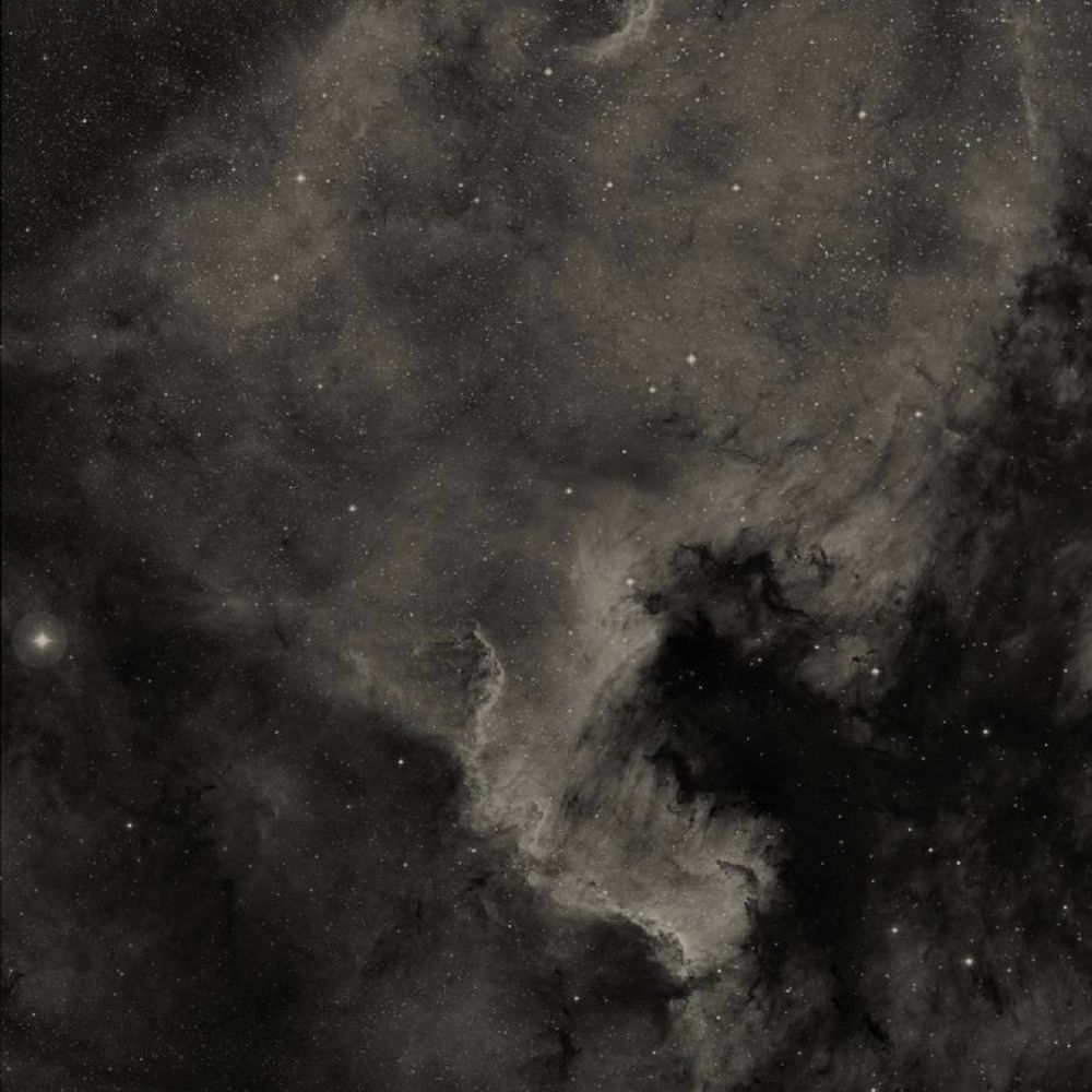 Nameless Mist