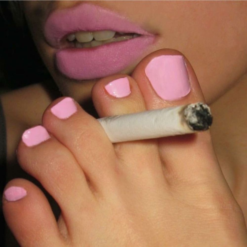Coquette com Scat 