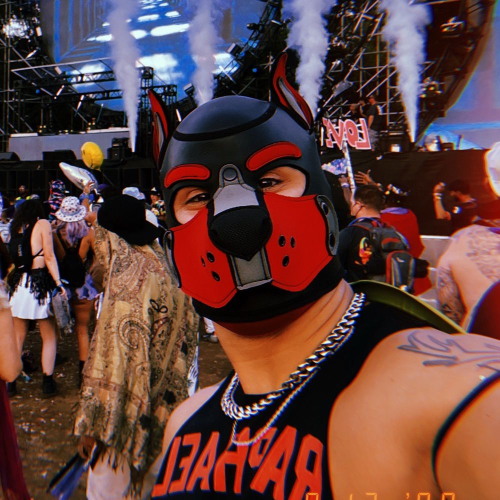 Pup Urban 🔜 KDS Weekend, Folsom