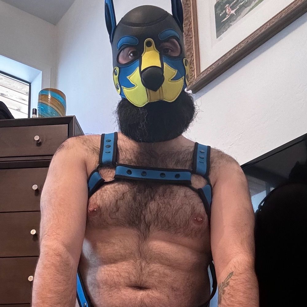 PupTeFF