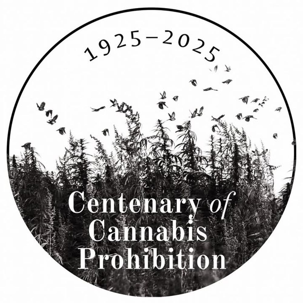 Cannabis Embassy Official