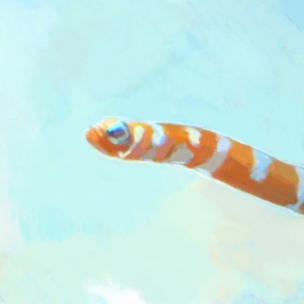 haru