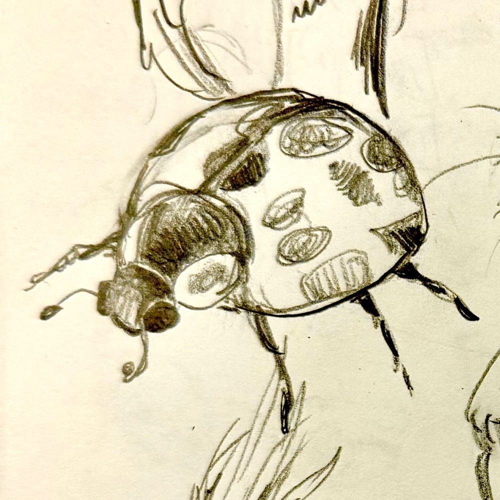jj🐞
