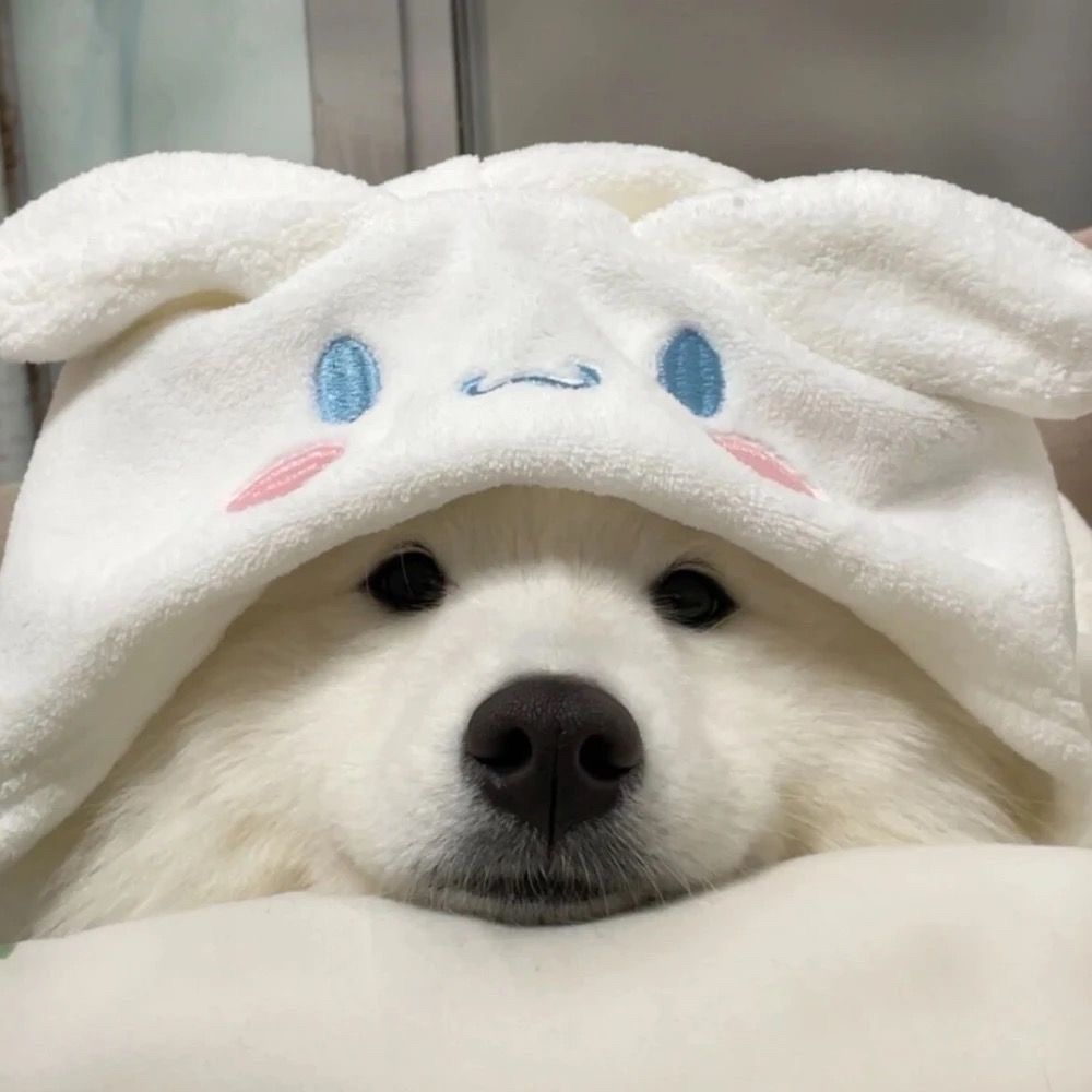 넛