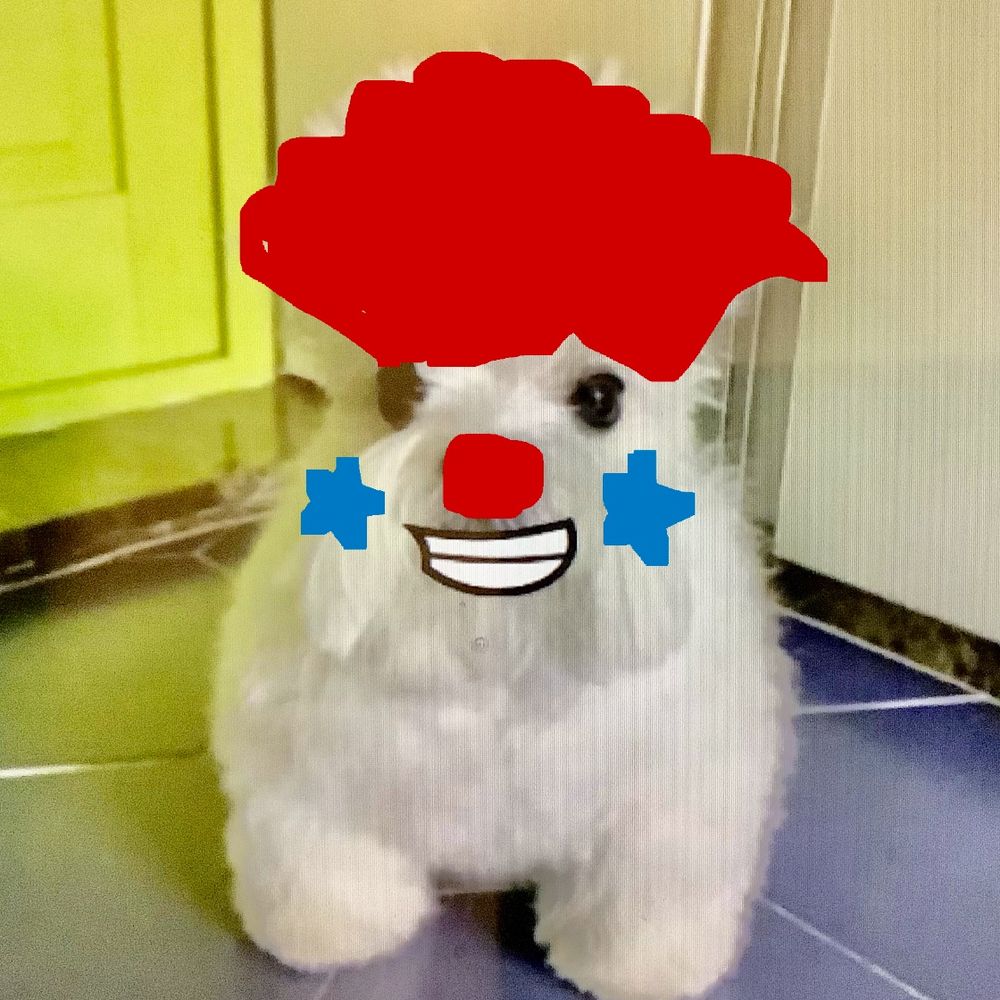 Jerrycho Cacas 