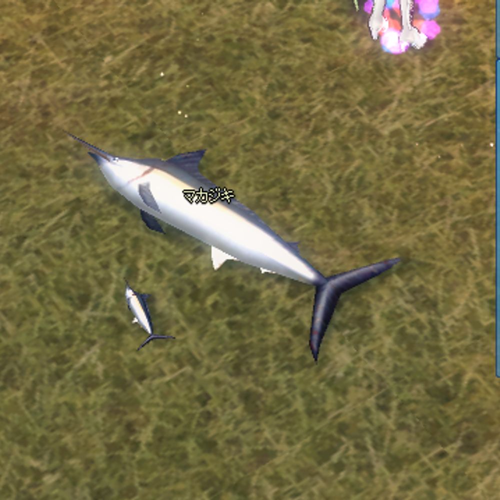 ぬー