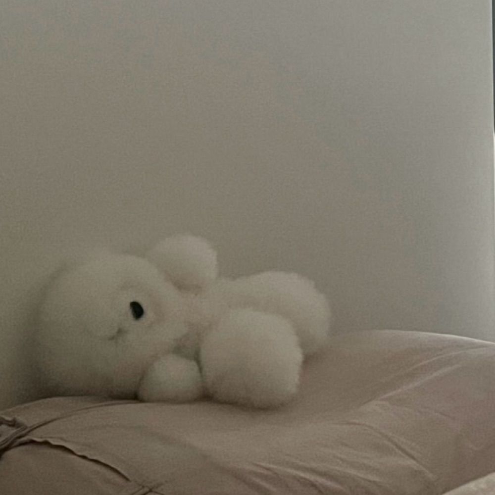 ふわふわのくま