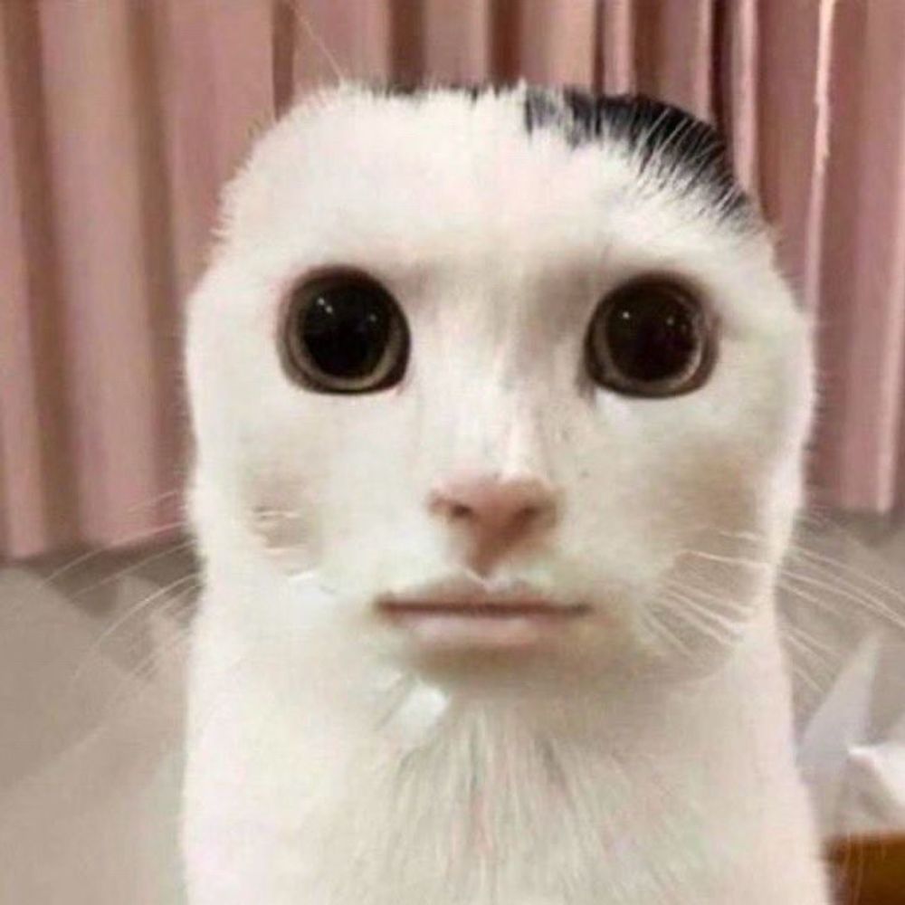 初