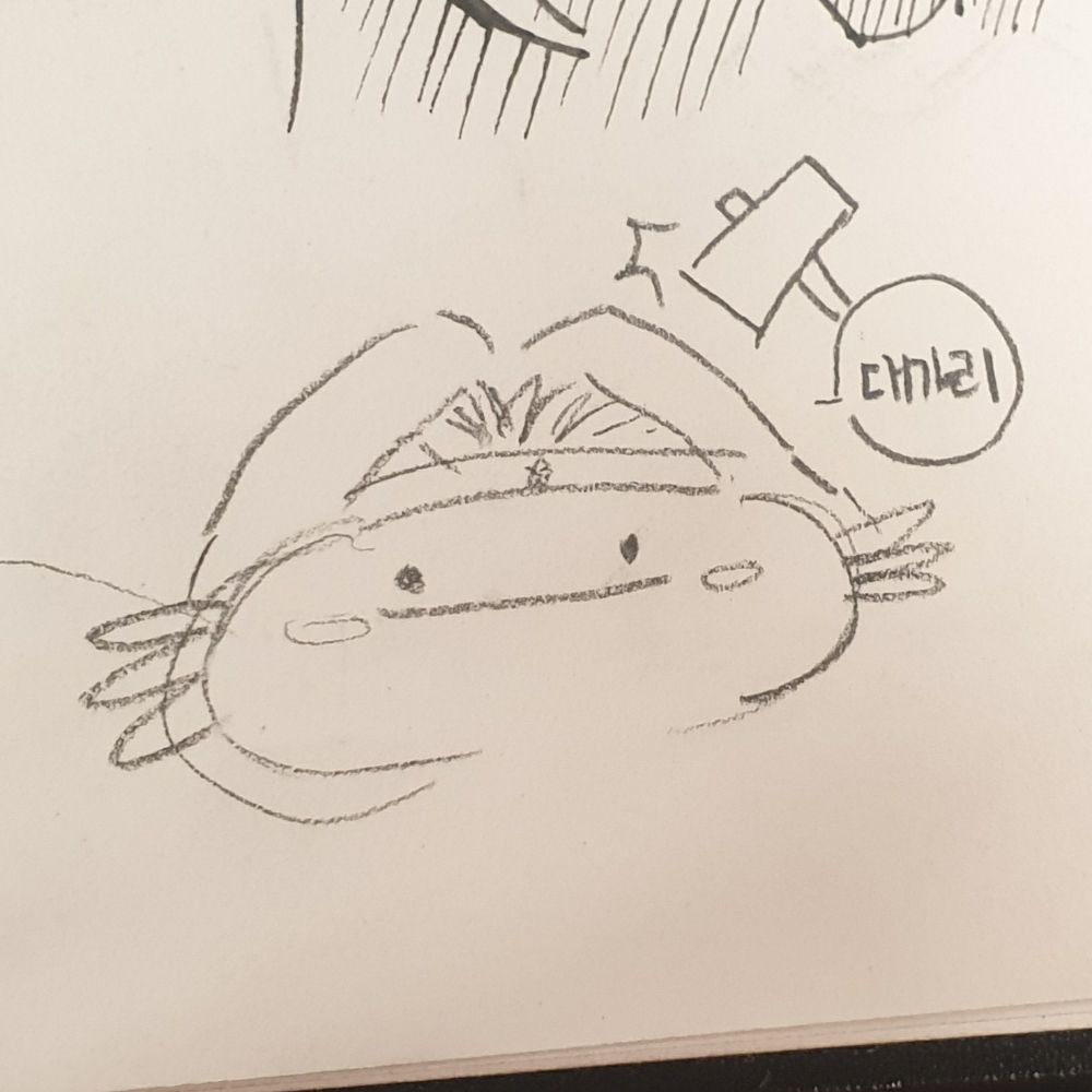 다육이