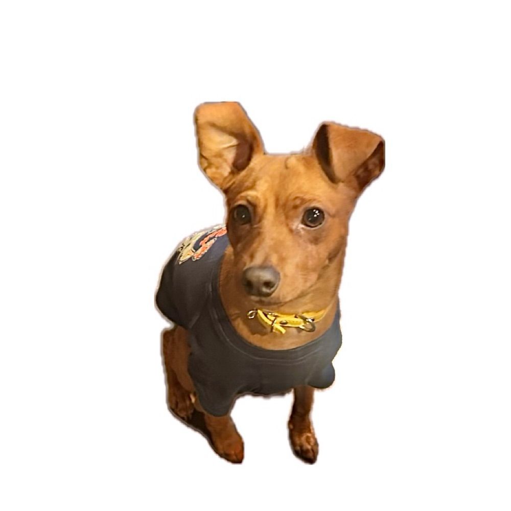 ᴄʜ