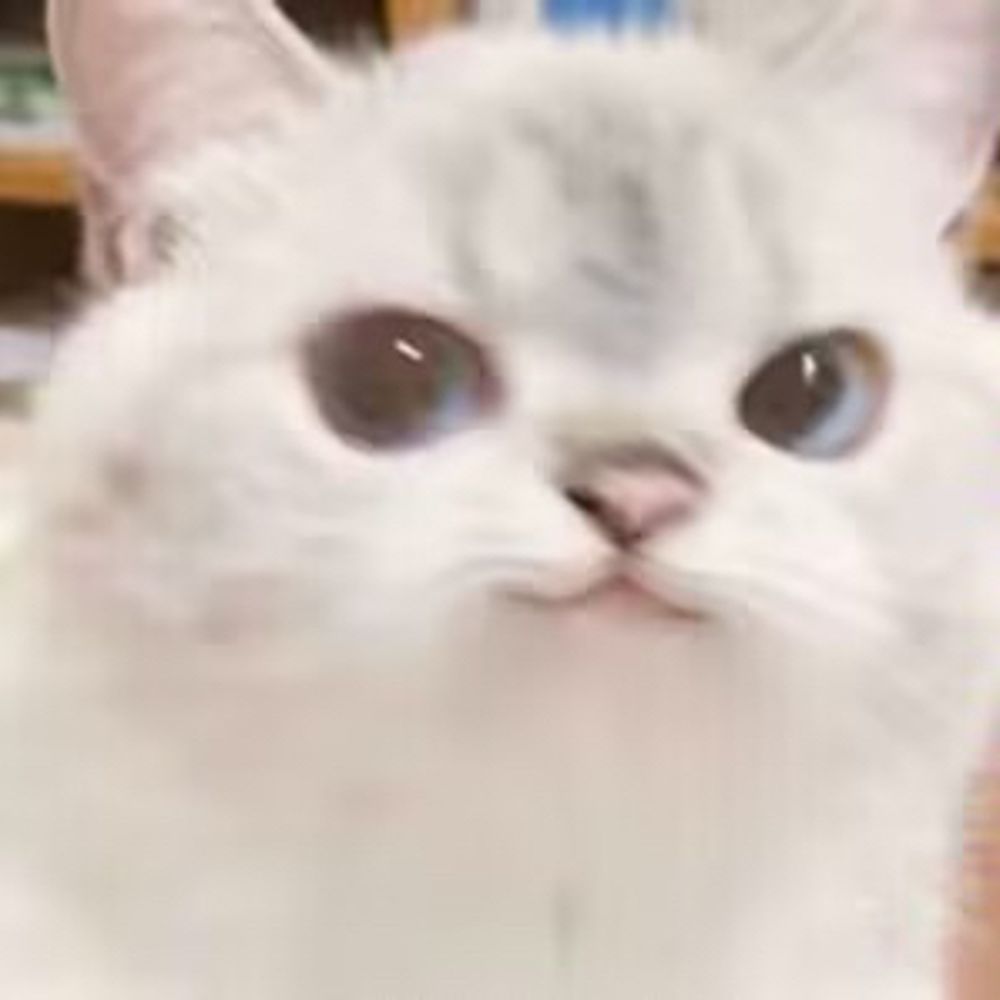 查无此·奇