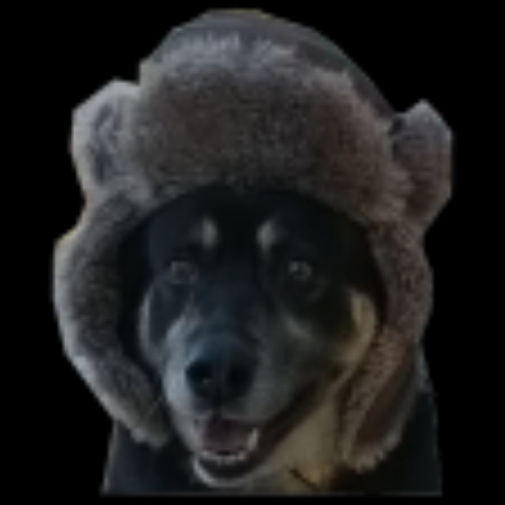 Wolfeys