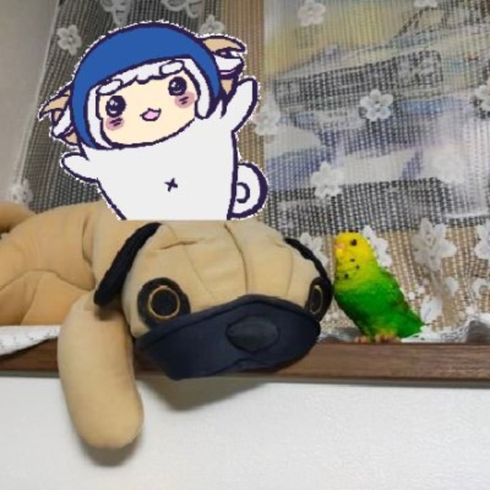 じゅんじゅん