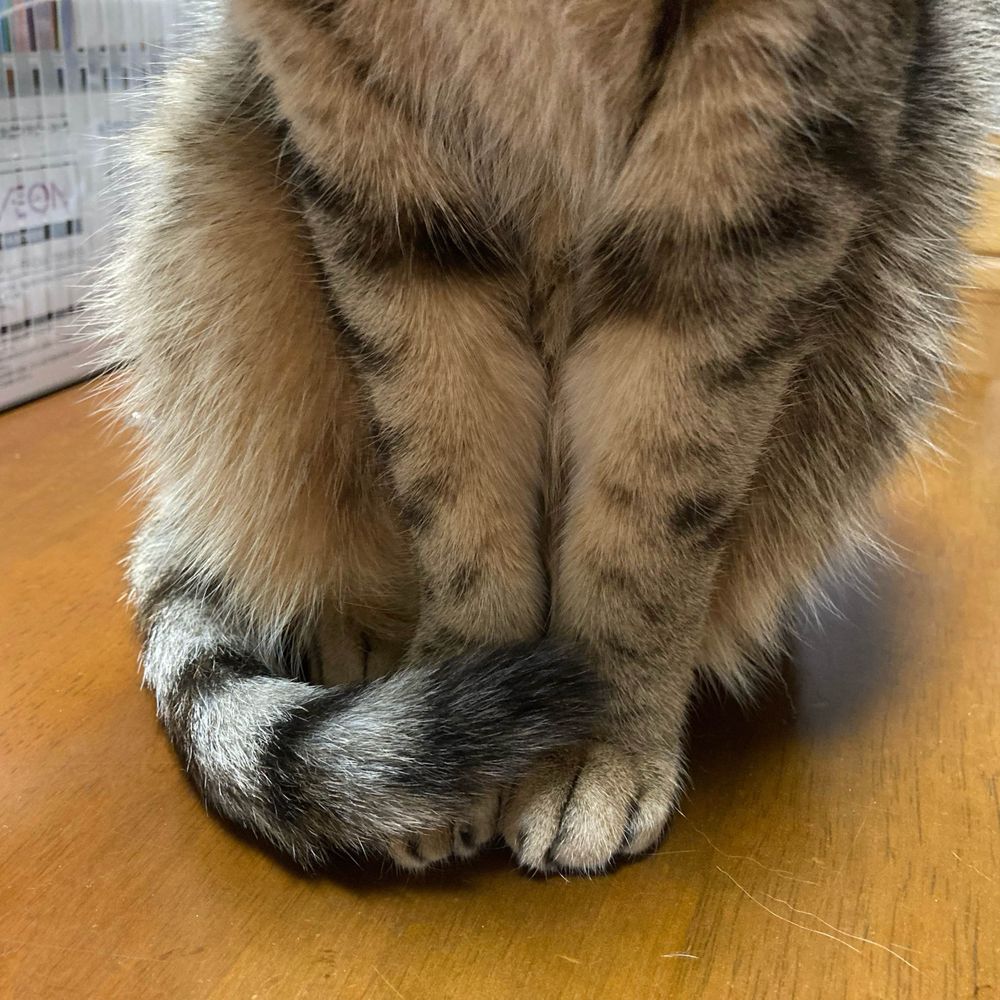 ちまき庵