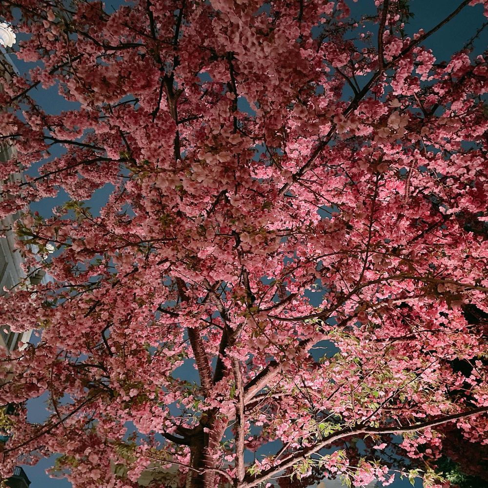 ♡つきやま♡