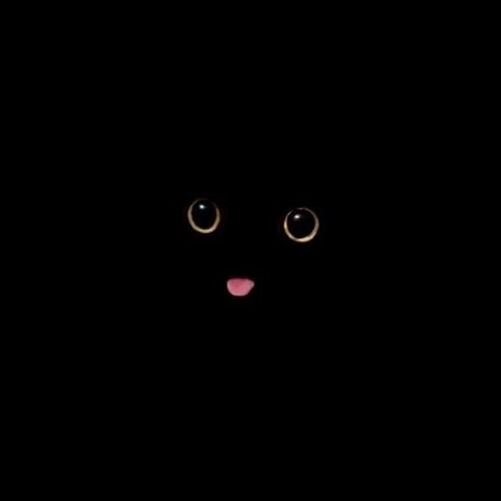Shadow Cats