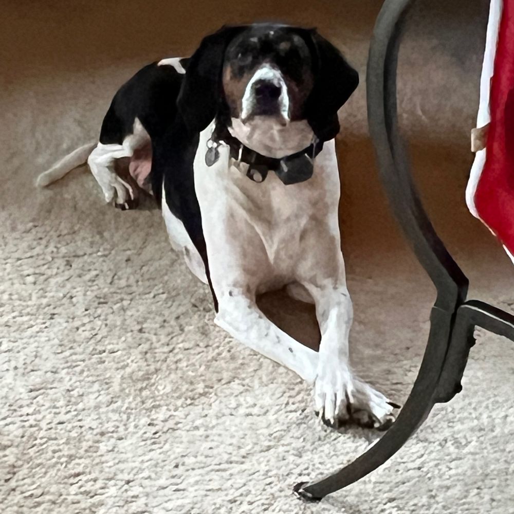 Wendyg