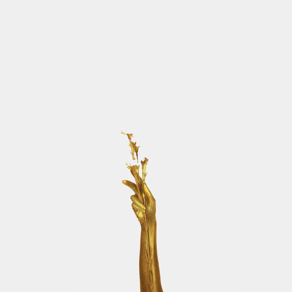 XARA 