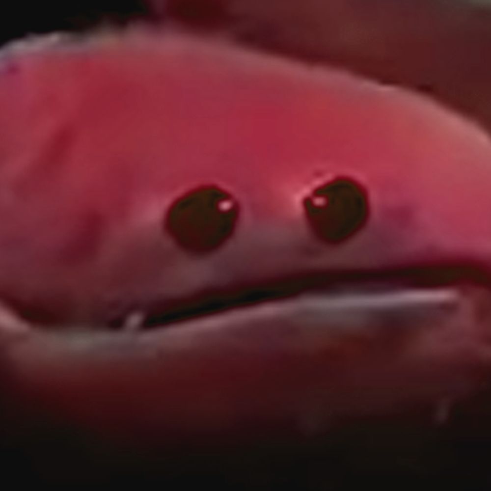 moddedpants
