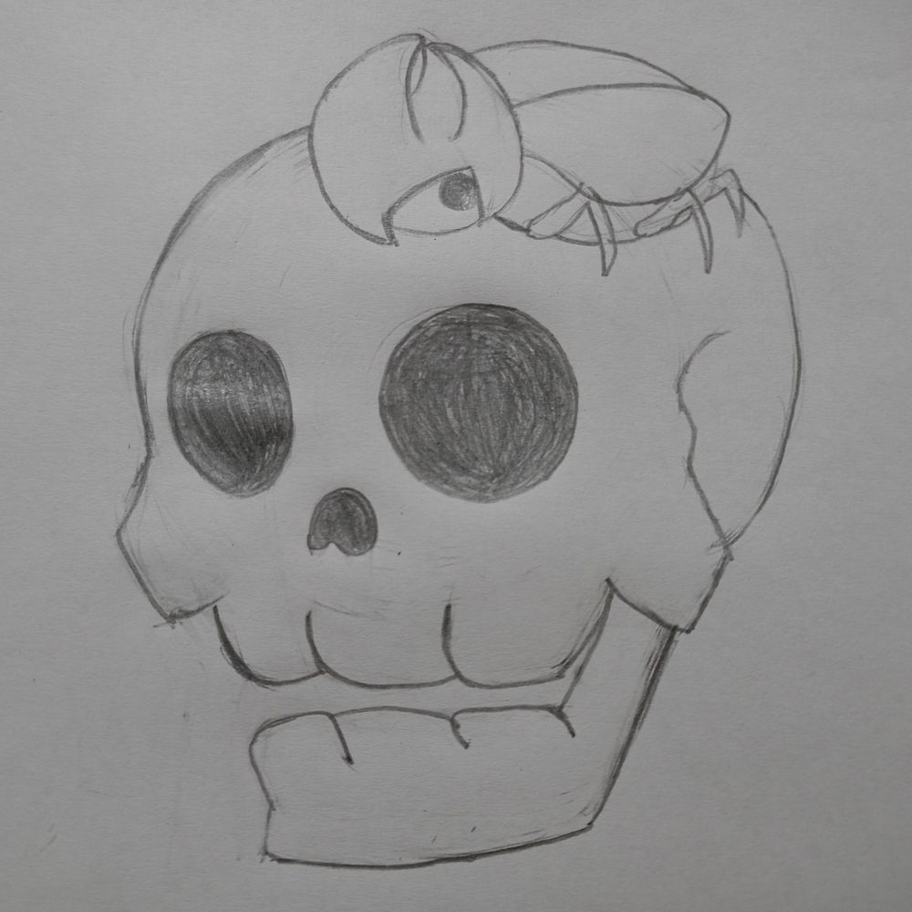 Mr. Hollow Skull