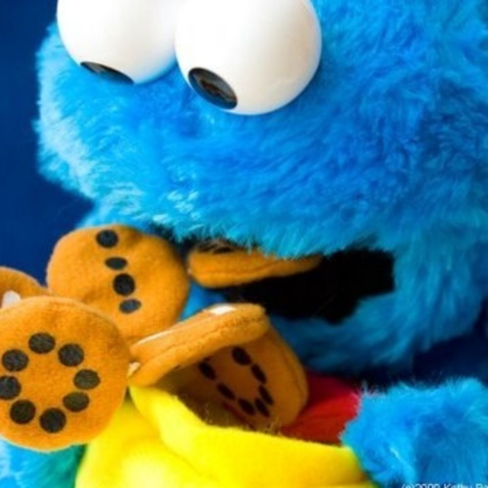busches.bsky.social profile picture