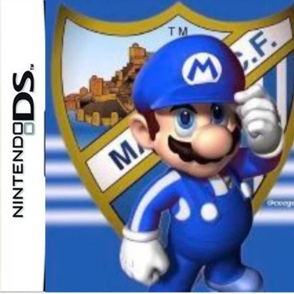 nintendo ds videogame